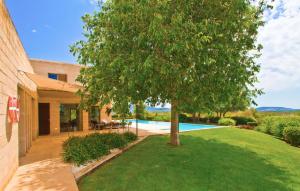 a tree in the yard of a house with a swimming pool at Los Arcos in Felanitx