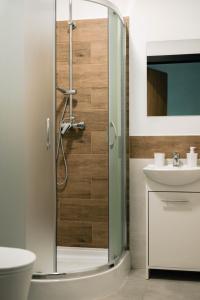 a bathroom with a shower and a toilet and a sink at Ajncla in Katowice +46 photos