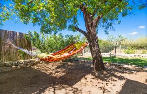 a hammock hanging from a tree in a yard at Perla Sort Llarga in Moscari
