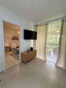 a living room with a flat screen tv on a wall at Cozy cocoon in La Madeleine in Cayenne