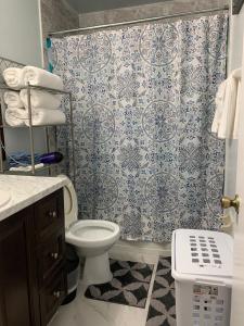 a bathroom with a toilet and a shower curtain at Ortona's Best Kept Secret Three-Two Spacious Home in Orlando