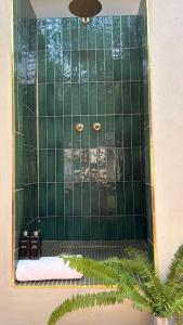 a bathroom with a green tiled wall with a mirror at Imasiku House in Southbroom