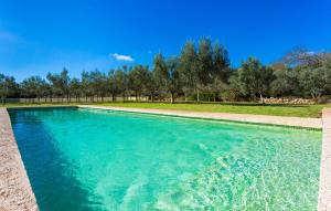 a pool of blue water with trees in the background at Ses Fonolleres in Son Servera