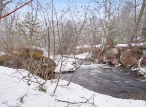 a river with snow on the ground and trees at Spa - Waterfront - La Source in Saint Come