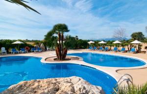 a swimming pool with a palm tree in a resort at Can Picafort in Can Picafort +47 photos
