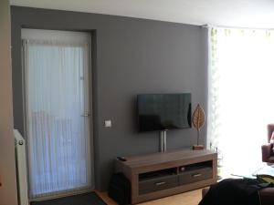 Televízia a/alebo spoločenská miestnosť v ubytovaní Appartement am Schlatterberg