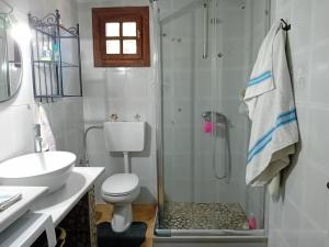 a bathroom with a shower and a toilet and a sink at Ektor Villa in Agios Georgios +16 photos