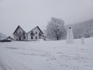 a snow covered yard with a house and a christmas tree at Hanul Ibăștean in Brădeţelu