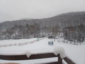 a snow covered field with a fence and trees at Hanul Ibăștean in Brădeţelu