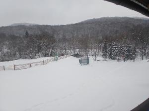 a snow covered field with a fence and trees at Hanul Ibăștean in Brădeţelu +2 photos