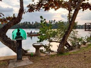 a green object next to a body of water with a boat at blu River villa Ambalangoda in Nikawatawana