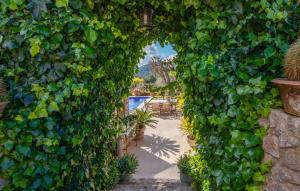 an entrance to a garden with a large green hedge at Can Sion in Esporlas +34 photos
