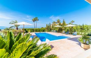 a villa with a swimming pool and palm trees at Redrema in Llucmajor