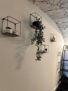 a plant is hanging on a wall in a room at Jacuzzi des Voutes in Vesoul