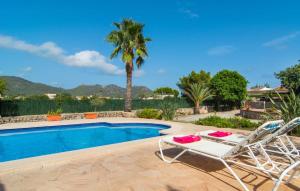 a pool with two lounge chairs and a palm tree at Sa Plana Port Nou in Cala Millor