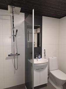 a bathroom with a shower and a toilet and a sink at Villa Irjala in Oulu +9 photos