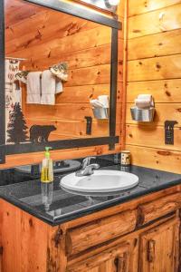 a bathroom with a sink in a cabin at Riverfront Lodge in Tellico Plains