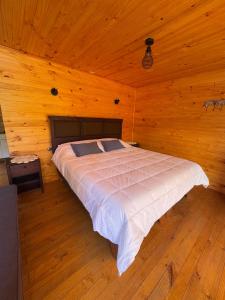 a bedroom with a bed in a wooden room at Lodge El Pedregan in Codpa