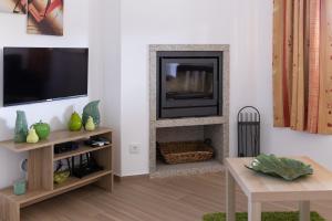 a living room with a fireplace and a tv at Encosta da Cabreira in Vieira do Minho