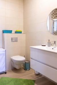 a bathroom with a toilet and a sink and a mirror at Encosta da Cabreira in Vieira do Minho +20 photos