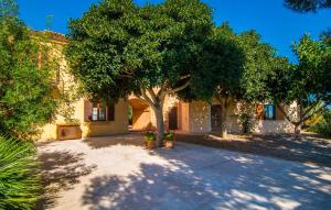 a house with a tree in the middle of a driveway at Can Bernat in Cala Mendia +31 photos
