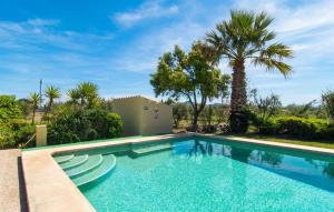 a swimming pool with a palm tree and a house at Ca Na Neus Pollenca in Pollença