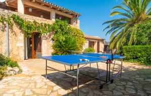 a blue ping pong table in front of a house at Can Sua in Artá