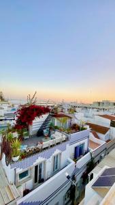 a group of buildings with plants on the roofs at Zenit little house or basic room in Olhão