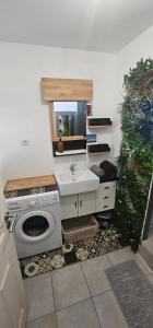 a bathroom with a sink and a washing machine at Cozy & Zen in Saint-Denis