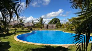 a swimming pool in the middle of a yard with palm trees at Eco Lodges Chalets Tropicales Playa Macao in Punta Cana