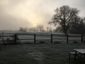 a foggy field with a fence and trees in the background at La gaîté de louvignies in Louvignies-Quesnoy
