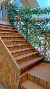 a set of stairs with a plant at Mindo Suites - Rufous in Mindo