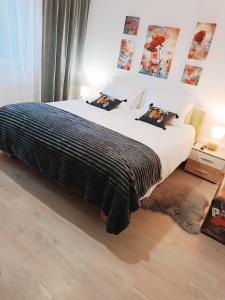 a bedroom with a large bed with a blanket on it at Apartma Xanadu in Slovenske Konjice