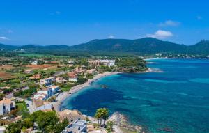 an aerial view of a beach and the ocean at Sa Copinya in Cala Bona
