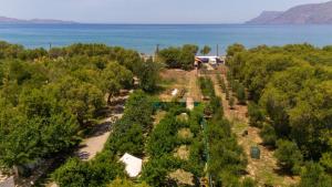 an overhead view of a farm with trees and the ocean at Edem private camping in Análipsis