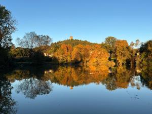 a view of a lake with trees reflecting in the water at Bed & Breakfast Carpe Diem in Solferino