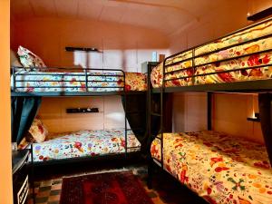 two bunk beds in a room with two beds at BOHOSTEL in Macclesfield