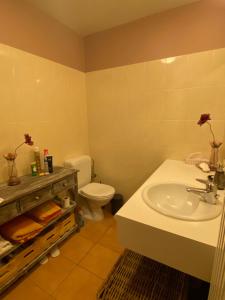 a bathroom with a sink and a toilet at Charming Duplex in Knokke-Heist