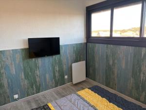 a room with a tv on a wall with green paint at Appartement face océan in Lacanau