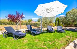 a group of chairs and an umbrella in the grass at Perla Sort Llarga in Moscari