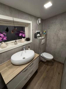 a bathroom with a sink and a toilet at Pakarklių sodyba in Anykščiai