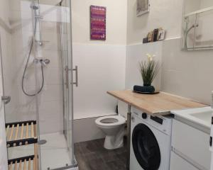 a bathroom with a shower and a toilet and a sink at Cosy Jade - Quartier Vivant du Chateau - Parking souterrain in Pau +17 photos