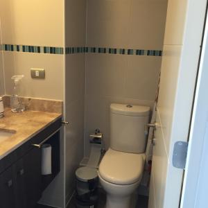 a small bathroom with a toilet and a sink at Arenamaris Apartment in Algarrobo