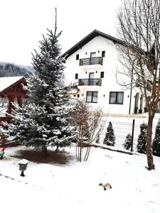 a snow covered christmas tree in front of a house at Vila CASA HATERE in Moisei