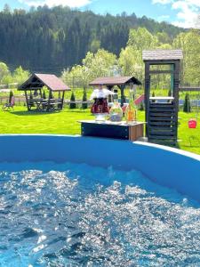 a view of a pool of water in a park at Vila CASA HATERE in Moisei