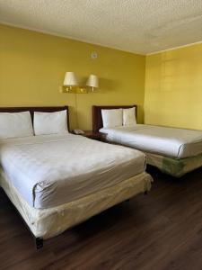 two beds in a room with yellow walls at Evergreen Plaza Inn in Metairie