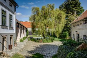 a stone pathway between two buildings with a tree at Darmyšl No13 in Staré Sedlo