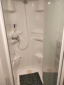 a shower with a glass door next to a toilet at L insolite du chalet in Seuzey