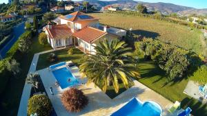 an aerial view of a house with a palm tree at Arouca Passadiços Alojamento & Jacuzzi - SPA in Arouca
