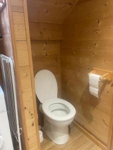 a small bathroom with a toilet in a wooden room at Gite l'Ancolie in Marignier +20 photos